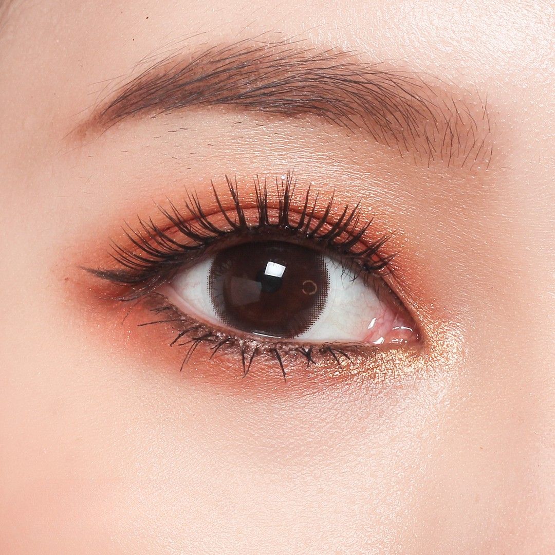 Viskon Basics Dazzling Choco – Dark Brown Circle Lenses for Dark Eyes