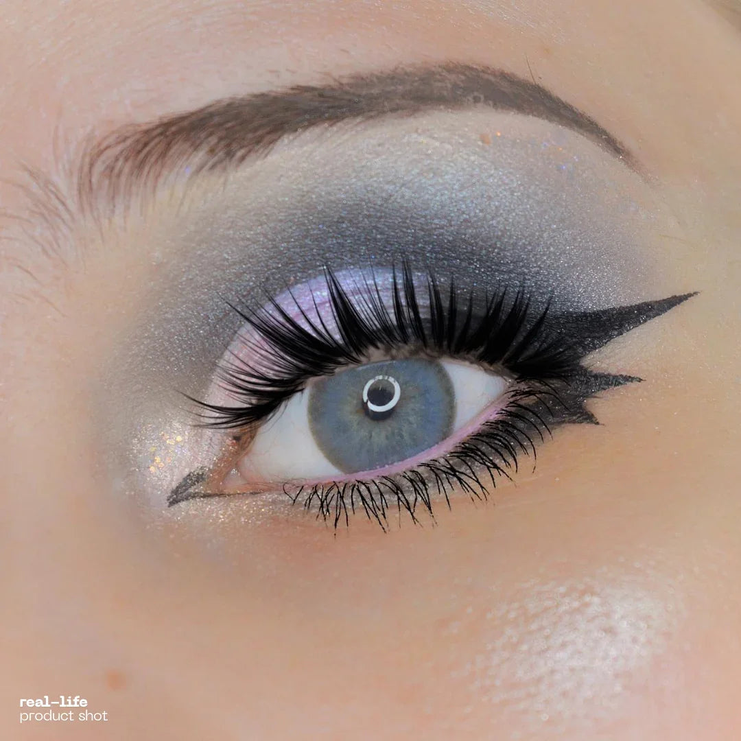 1-Day Atlantic Anew Gray (10 Lenses)