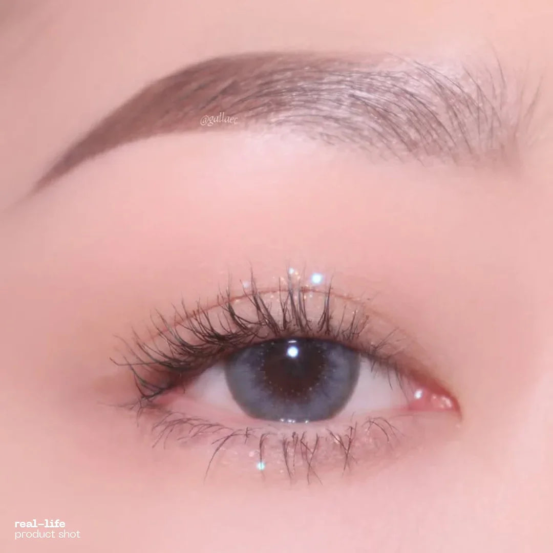 1-Day Atlantic Anew Gray (10 Lenses)