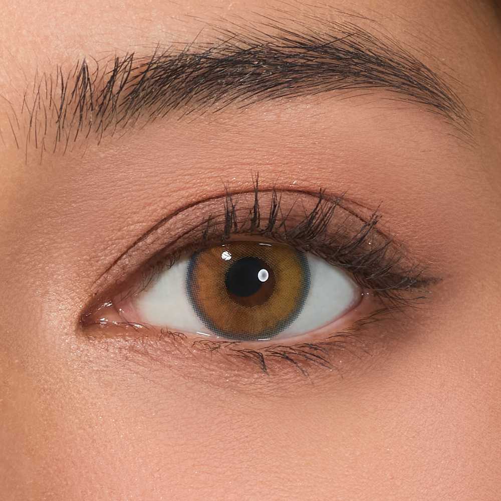 Miss Sugar Dearly Honey