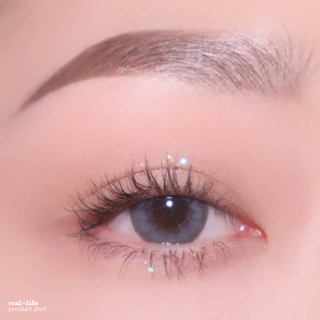 1-Day Atlantic Anew Gray (10 Lenses)