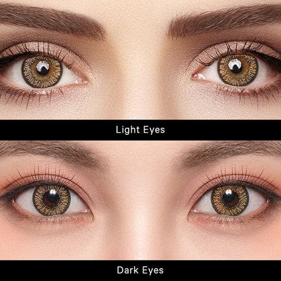 Sunflower Dreams in Every Blink: Discover Neo's Collection