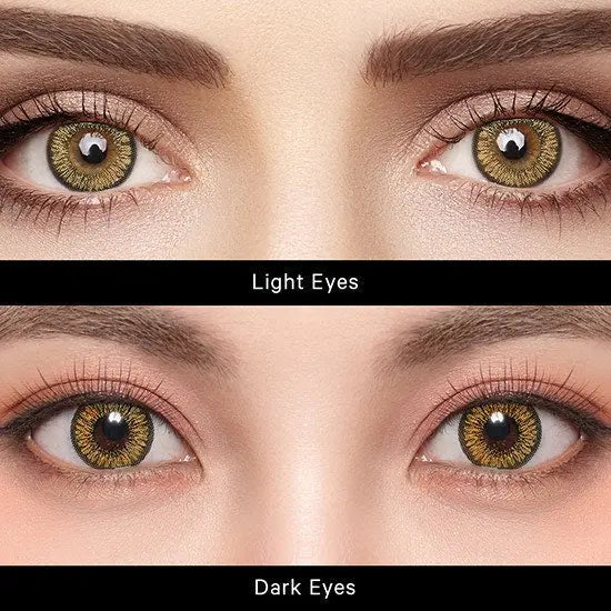 Petals for Your Peepers: Neo's Sunflower Eye Magic – HoneyColor
